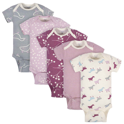 Grow by Gerber Baby Girls 5-Pack Short-Sleeve Onesies Bodysuits Grey/Pink/Ivory 3-6 Months